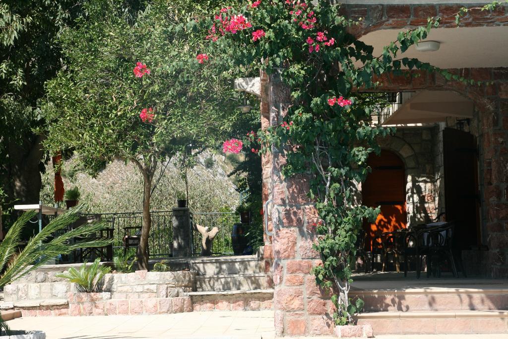 Apartments Villa Cucuk 布德瓦 外观 照片