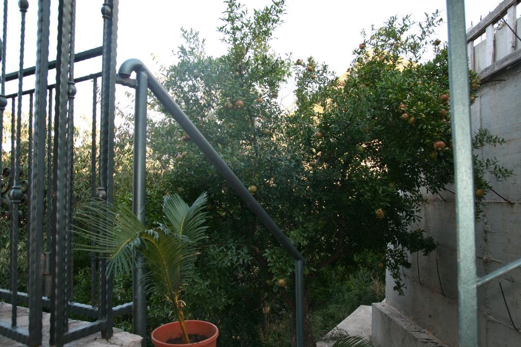 Apartments Villa Cucuk 布德瓦 外观 照片